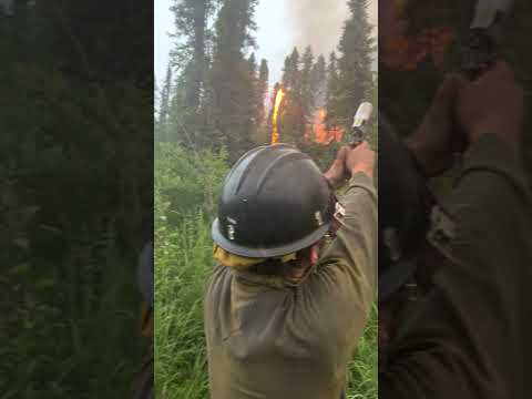 Firefighter uses flare gun to ignite fuels in a successful defensive burning operation