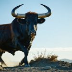 Why XRP’s Bull Run Is Getting Traders Excited